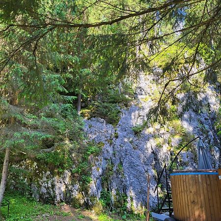 Pension Cabana Cetatile Ponorului Падис Экстерьер фото