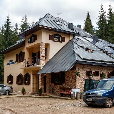 Pension Cabana Cetatile Ponorului Падис Экстерьер фото